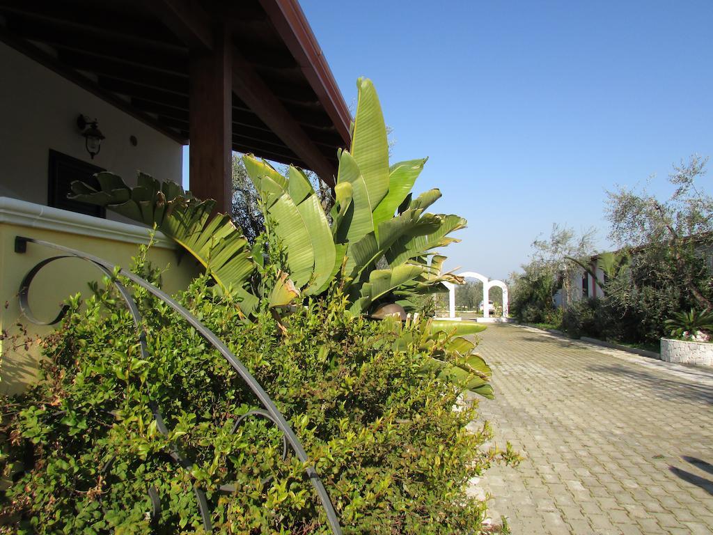 Villa Terra Nostra Vieste Exterior photo