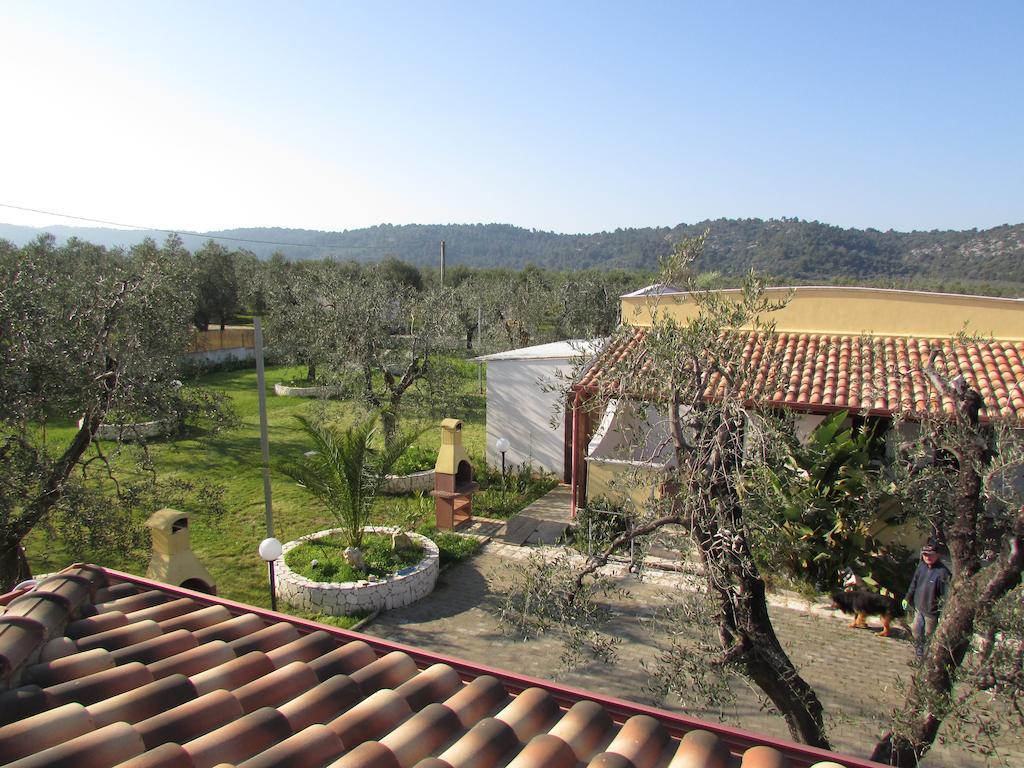 Villa Terra Nostra Vieste Exterior photo
